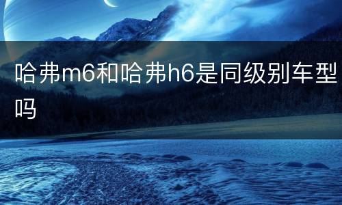 哈弗m6和哈弗h6是同级别车型吗