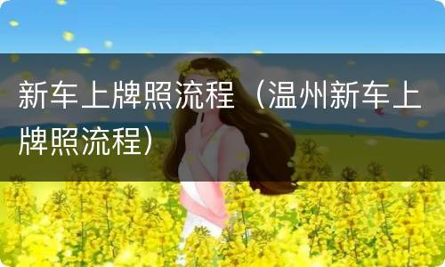 新车上牌照流程（温州新车上牌照流程）