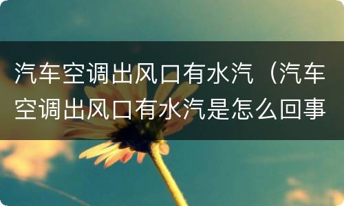 汽车空调出风口有水汽（汽车空调出风口有水汽是怎么回事）