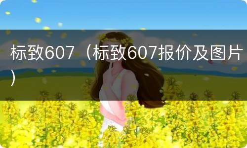 标致607（标致607报价及图片）