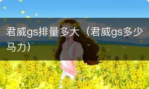 君威gs排量多大（君威gs多少马力）