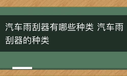 汽车雨刮器有哪些种类 汽车雨刮器的种类