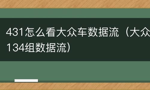 431怎么看大众车数据流（大众134组数据流）