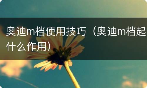 奥迪m档使用技巧（奥迪m档起什么作用）