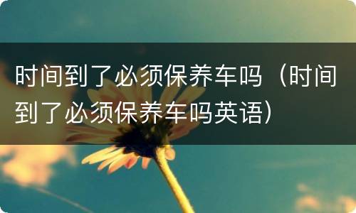 时间到了必须保养车吗（时间到了必须保养车吗英语）