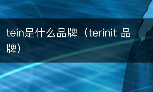 tein是什么品牌（terinit 品牌）