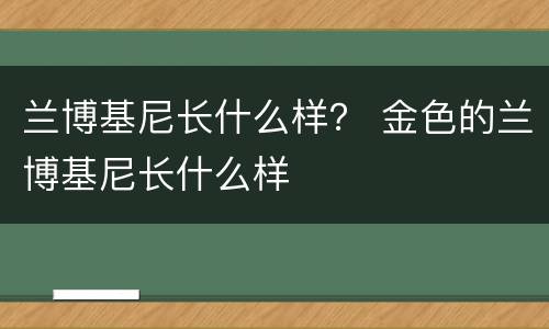 兰博基尼长什么样？ 金色的兰博基尼长什么样