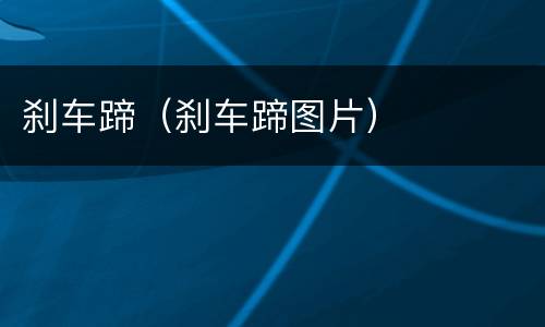 刹车蹄（刹车蹄图片）