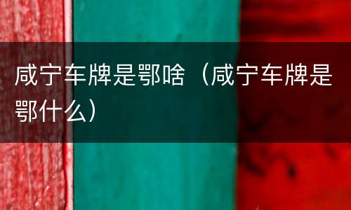 咸宁车牌是鄂啥（咸宁车牌是鄂什么）