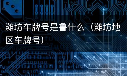 潍坊车牌号是鲁什么（潍坊地区车牌号）