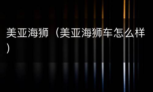 美亚海狮（美亚海狮车怎么样）