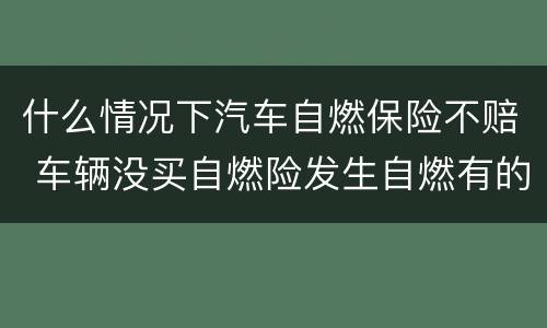 什么情况下汽车自燃保险不赔 车辆没买自燃险发生自燃有的赔吗