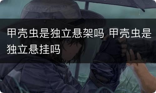 甲壳虫是独立悬架吗 甲壳虫是独立悬挂吗