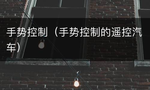 手势控制（手势控制的遥控汽车）