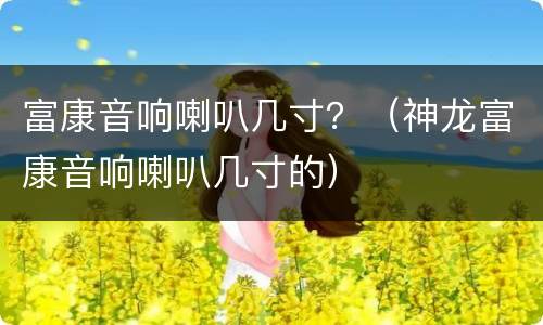 富康音响喇叭几寸？（神龙富康音响喇叭几寸的）
