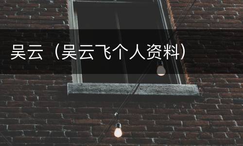 吴云（吴云飞个人资料）
