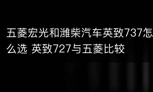 五菱宏光和潍柴汽车英致737怎么选 英致727与五菱比较