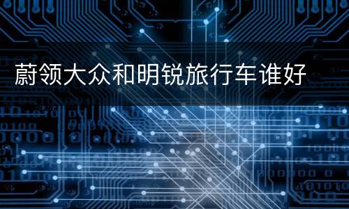 蔚领大众和明锐旅行车谁好