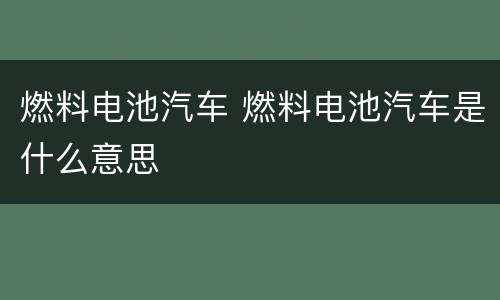 燃料电池汽车 燃料电池汽车是什么意思