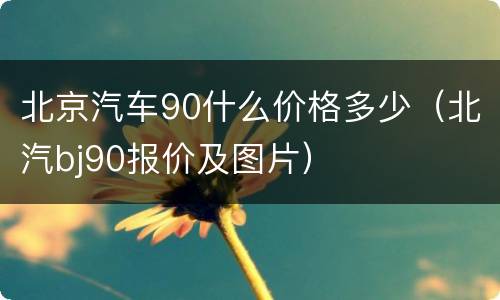 北京汽车90什么价格多少（北汽bj90报价及图片）