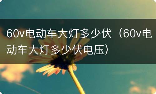 60v电动车大灯多少伏（60v电动车大灯多少伏电压）