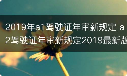 2019年a1驾驶证年审新规定 a2驾驶证年审新规定2019最新版