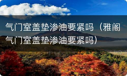 气门室盖垫渗油要紧吗（雅阁气门室盖垫渗油要紧吗）