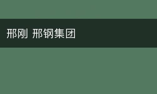 邢刚 邢钢集团