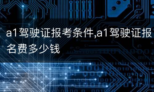 a1驾驶证报考条件,a1驾驶证报名费多少钱