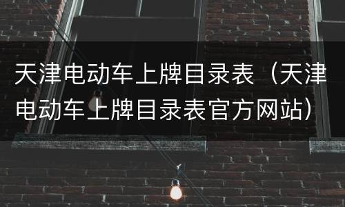 天津电动车上牌目录表（天津电动车上牌目录表官方网站）