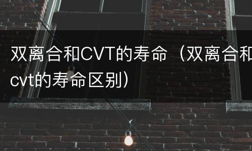 双离合和CVT的寿命（双离合和cvt的寿命区别）