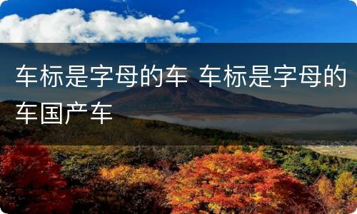 车标是字母的车 车标是字母的车国产车