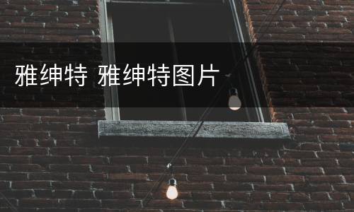 雅绅特 雅绅特图片