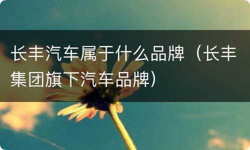 长丰汽车属于什么品牌（长丰集团旗下汽车品牌）