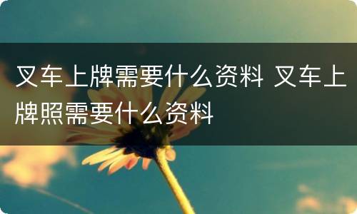 叉车上牌需要什么资料 叉车上牌照需要什么资料