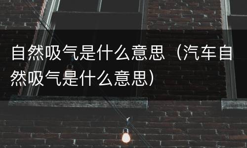 自然吸气是什么意思（汽车自然吸气是什么意思）