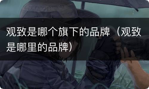 观致是哪个旗下的品牌（观致是哪里的品牌）