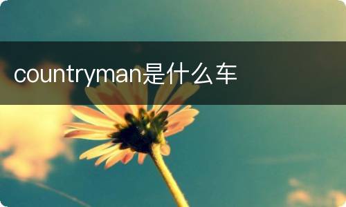 countryman是什么车