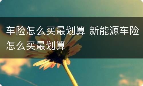 车险怎么买最划算 新能源车险怎么买最划算