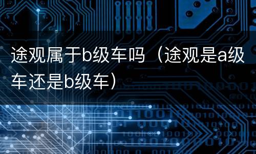 途观属于b级车吗（途观是a级车还是b级车）