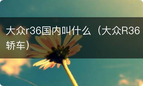 大众r36国内叫什么（大众R36轿车）