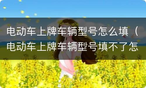 电动车上牌车辆型号怎么填（电动车上牌车辆型号填不了怎么办）