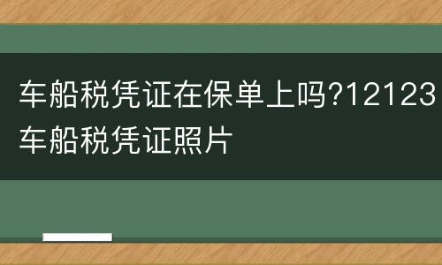 车船税凭证在保单上吗?12123车船税凭证照片