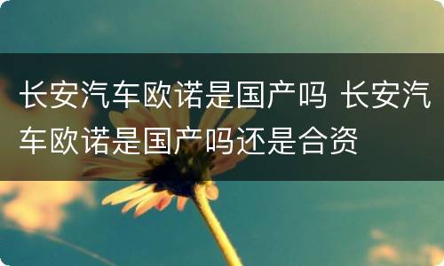 长安汽车欧诺是国产吗 长安汽车欧诺是国产吗还是合资