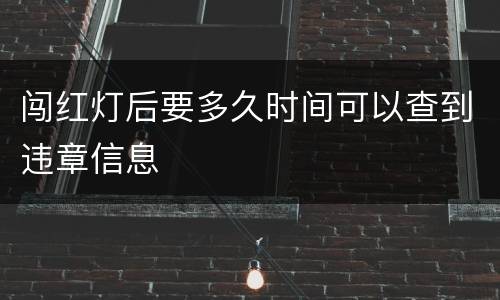 闯红灯后要多久时间可以查到违章信息