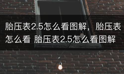 胎压表2.5怎么看图解，胎压表怎么看 胎压表2.5怎么看图解,胎压表怎么看新手教学