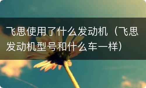 飞思使用了什么发动机（飞思发动机型号和什么车一样）
