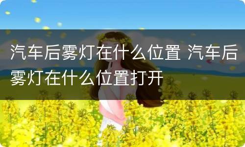 汽车后雾灯在什么位置 汽车后雾灯在什么位置打开