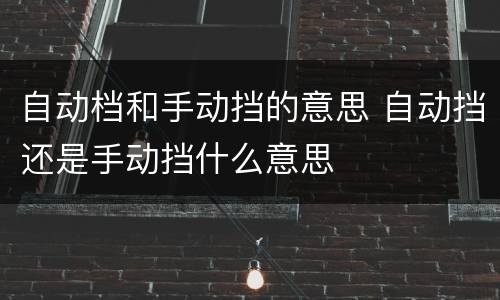 自动档和手动挡的意思 自动挡还是手动挡什么意思