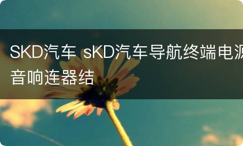 SKD汽车 sKD汽车导航终端电源音响连器结